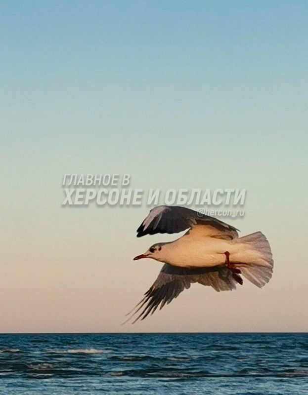 �����, ����������� ���� � ��������� ��������� ���������� �����������