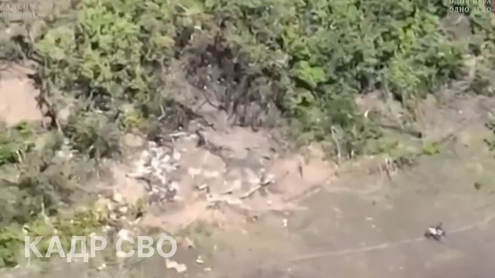 ���������� ����������� �������� �����-���������, ����������� ��������������� ����� ��-62, ������ ���� ��� � �������� �� ����������� �����������