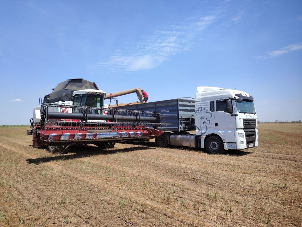 ����������� "�����������" ����� ����� �������� ������� �������� ������ ���������