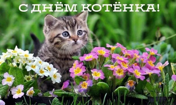 ��������� 10 ����. ���� �������� ����������� �������