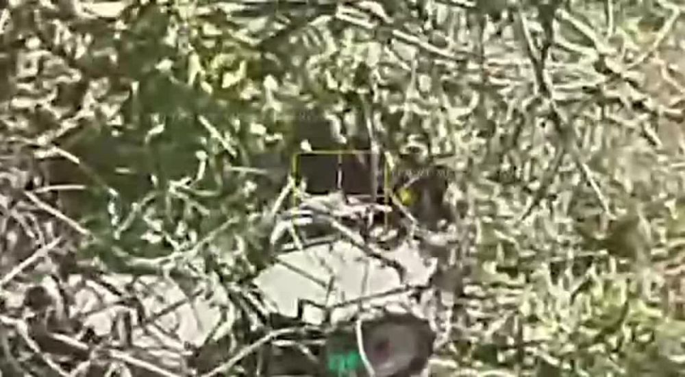 ����� ������ - ��������� ������ ��������