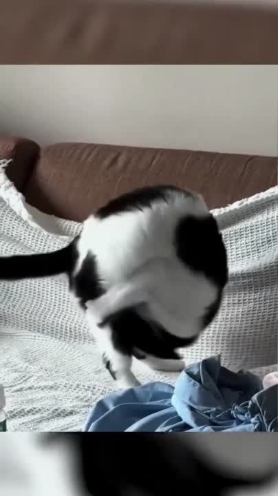 ��������� ����! ��������-����� ���������� �������