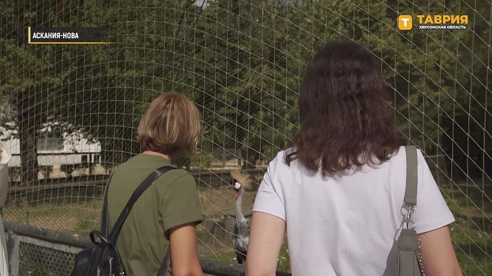 ������������� ������������� ����� �������� ������������� ��������� "������" �������� ���������� �������