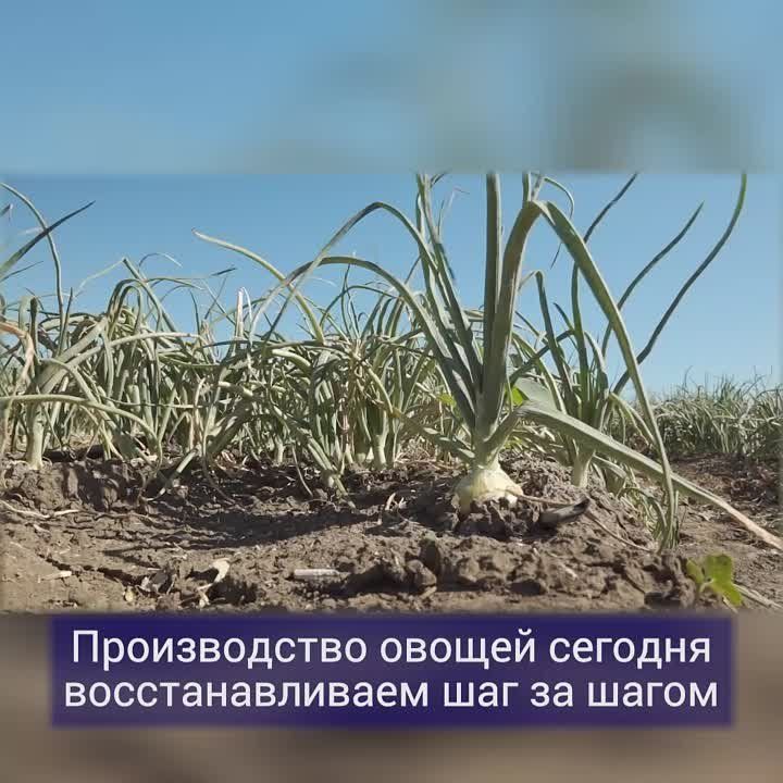 ������ ����������: ��� ������� ���, ����� ���������� ���������� �������� � ������ ����� ������ �� ����� �� ����� �����