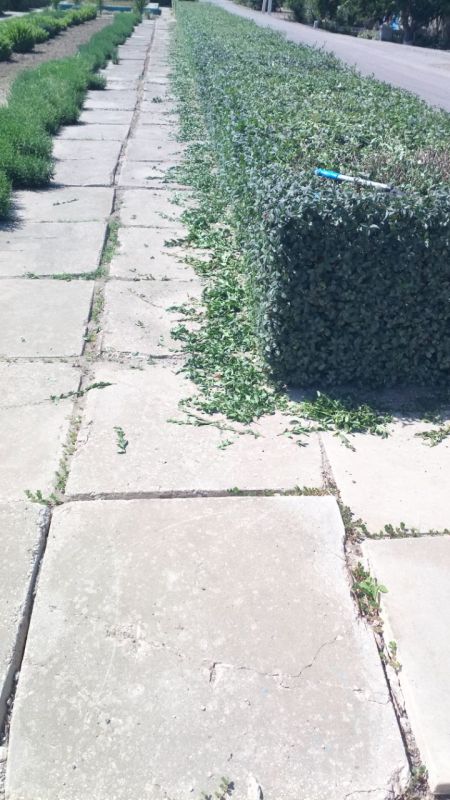 � ������ ������ ����������� �������������� ������ ������������ ������ ����������