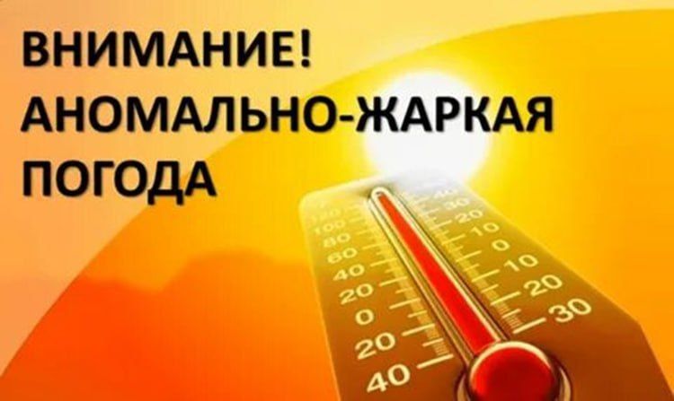 �� ���������� ���������� ������� ���� 10-12 ���� 2024 ���� ��������� ������� ���� 40-42 ��������, ����� ����������� �������...