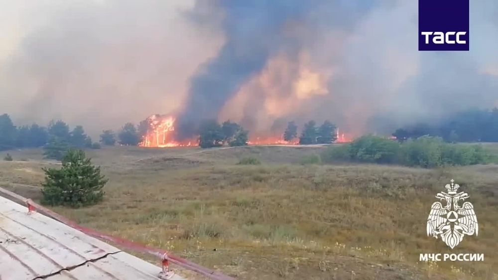 ������ ����� � �.����������, ��� ������������� ����, ������������ ����� ����� ��� 10 ����, ������� ����� ������ �������