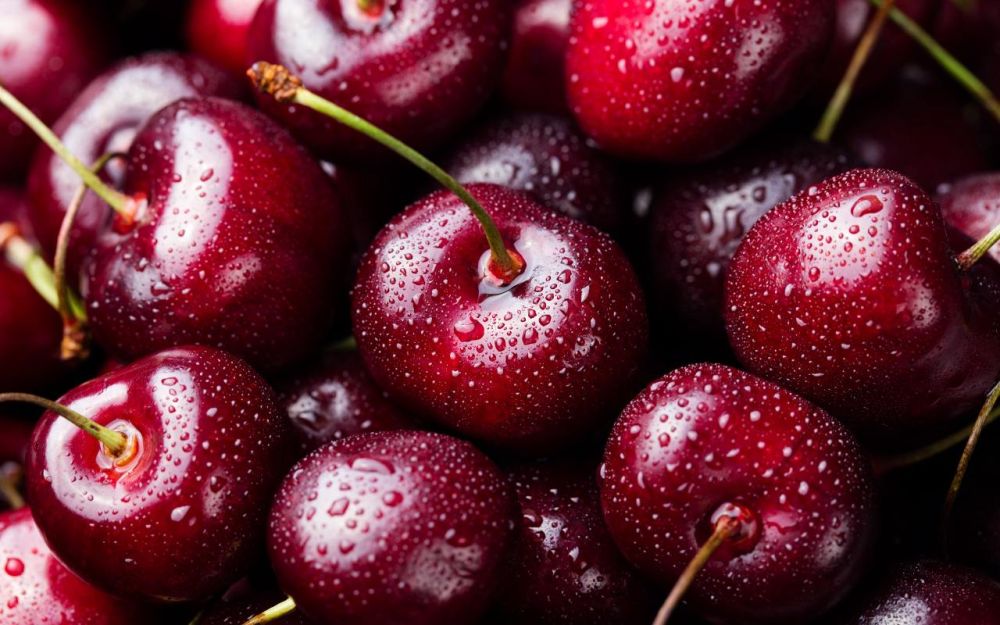 ��������������� ������ ������������ ����� � ����� ��������� � ��������������� ��������