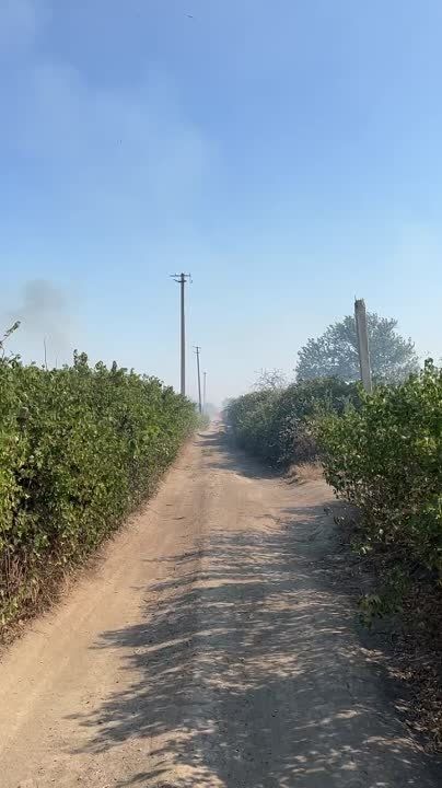 ������� ����������� ���������� ������ "�������" � ����������� ��������� �������������� ������������� ������� ���������� ������� ������ ��� � ������� ������ �� ���������� ���������� ������ ������������ ������ ���������