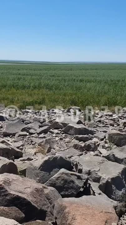 ��� ������ �������� ��������� �������������