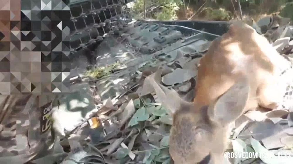 ������ ���� ������.. ����������� ����������. ������ ��������� ����, �� ������ �������� ����...... ������ ������ �� ����� ��������� ����� ���������� ����� "�����"