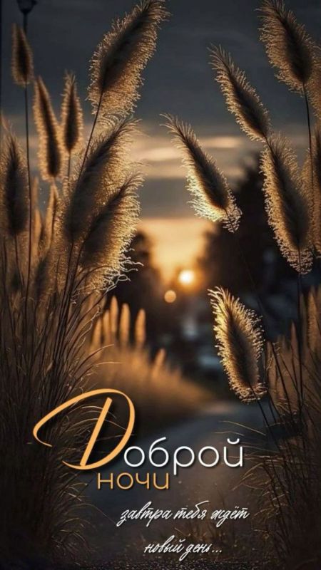 ������ ����. ������ � ������� ������� ����������� �� �����, ���� ��� ����� ����� �����. ��� �������. ����������� �� +24 ����� �� +38 ���