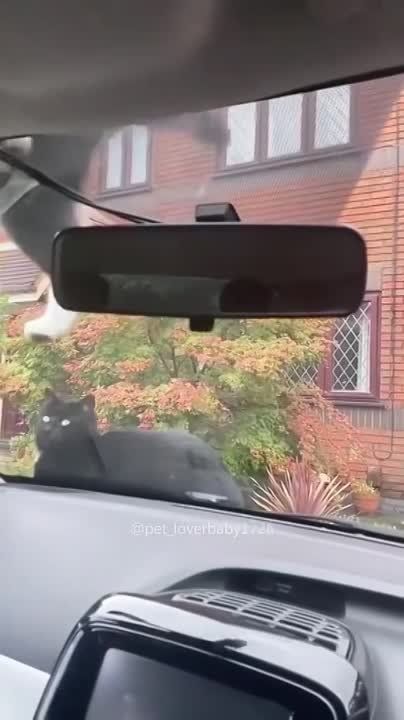 ��������� ����!. ��������-����� ���������� �������