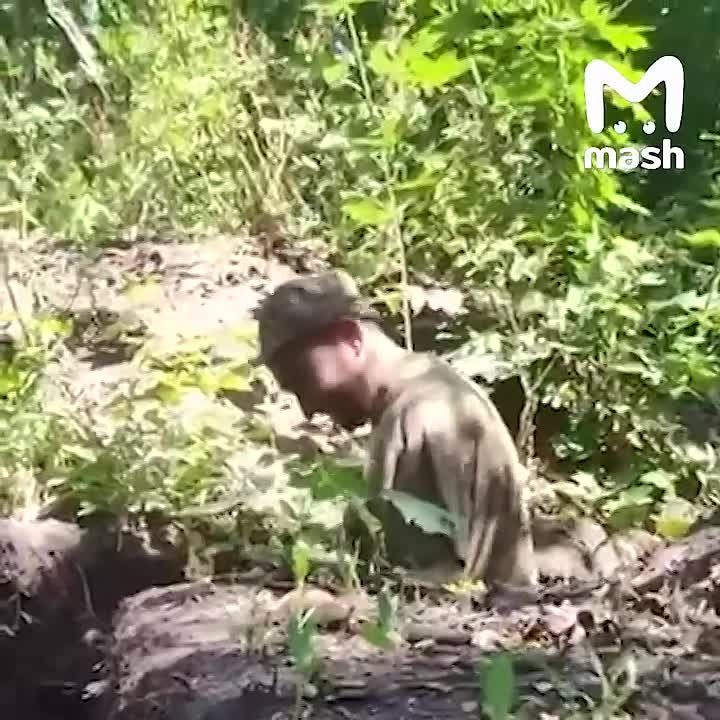 ���-���� �������� �������� ��������� � ����������� ������� �������