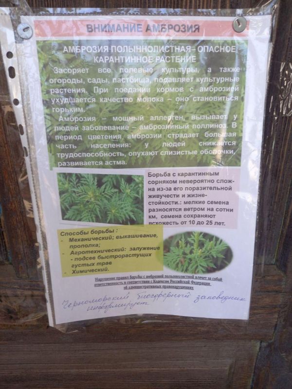 ��������������� �������� ���������, ��������!�