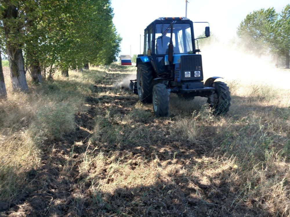 � ����������� ������� �������� ��������������� ������