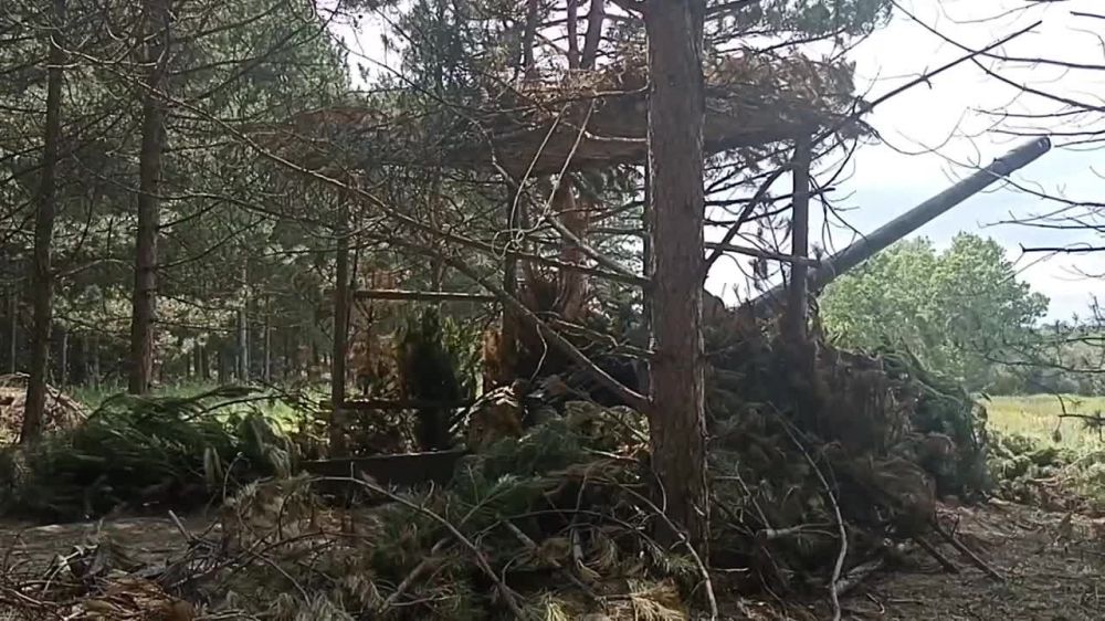 ���� �� �������: ���������� �����������. ������������ ����������� "�����" �������� �� �������� ��� � ������ ���������, ��� ����������� �������������� ������ � ��� ����������