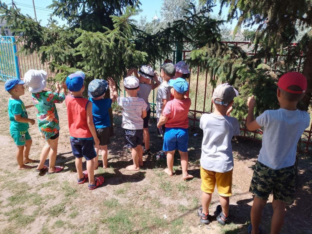 Маленькие чудеса в большой природе