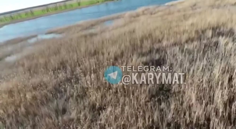 ����������? ����!. ����������, ������ ������� ���� ���� � ����