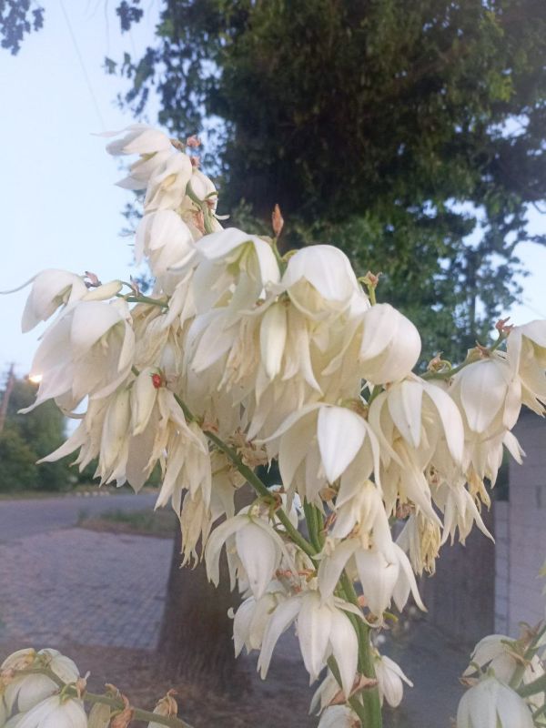 � ������ �����, �����������!