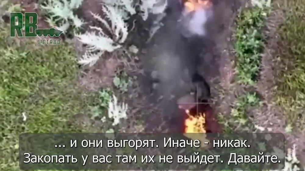 �������� ������� ���� ����� ���������: "������ ��������, ������, ���������"