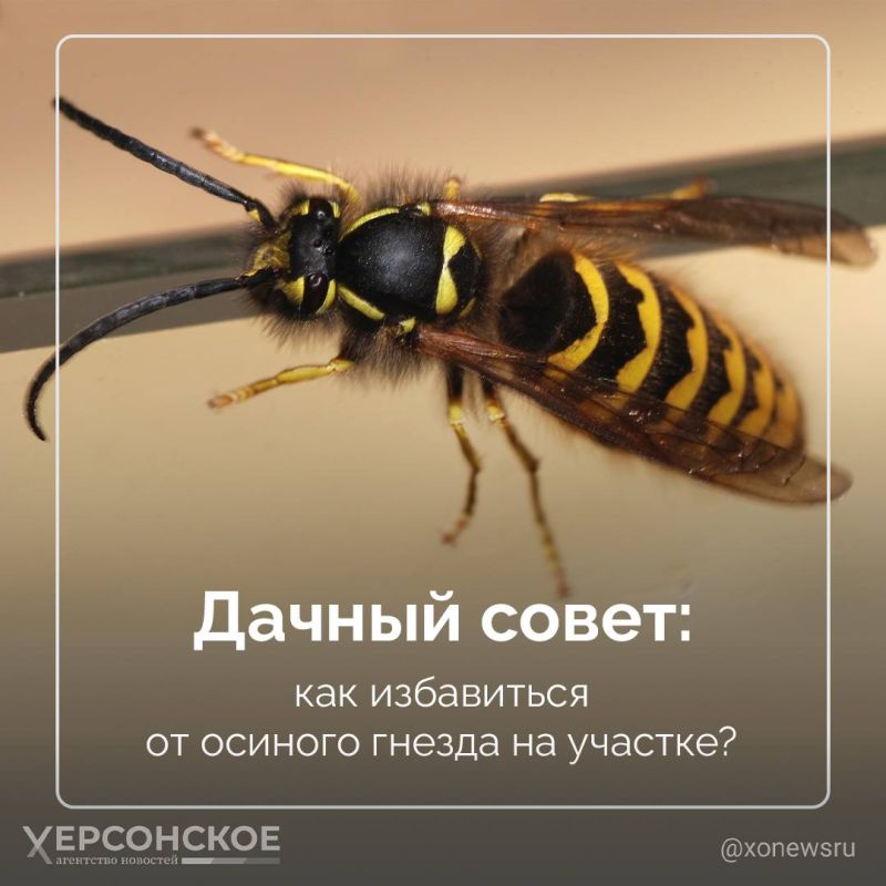 ��� ������� ������� ����� � ��� � � ����� ������� � ���������