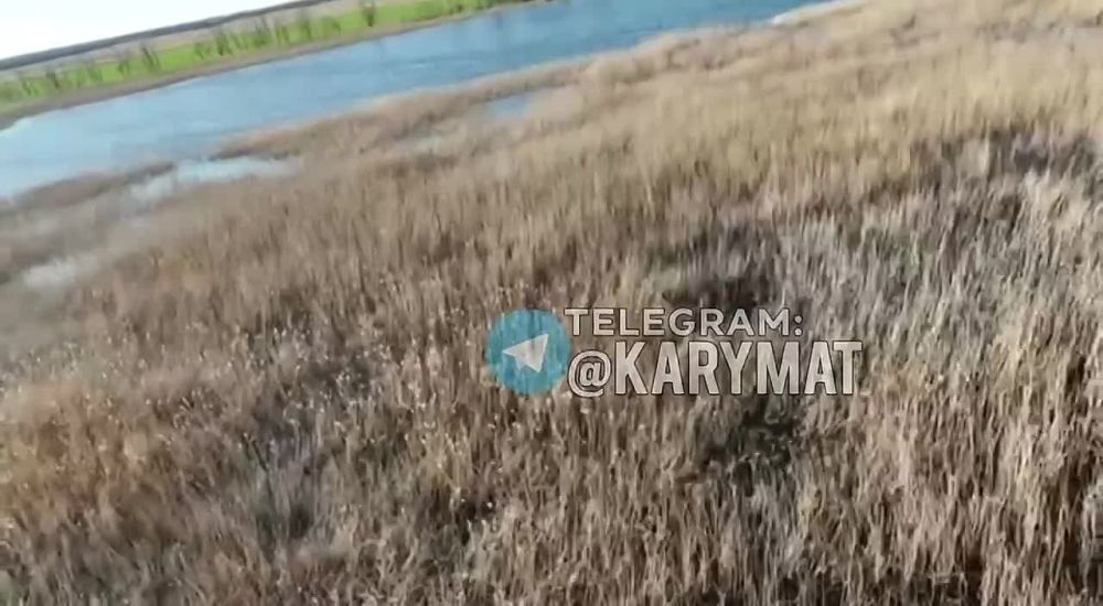 ������ ��������: � ���������� ������� ������ ����� ���� ������ �����