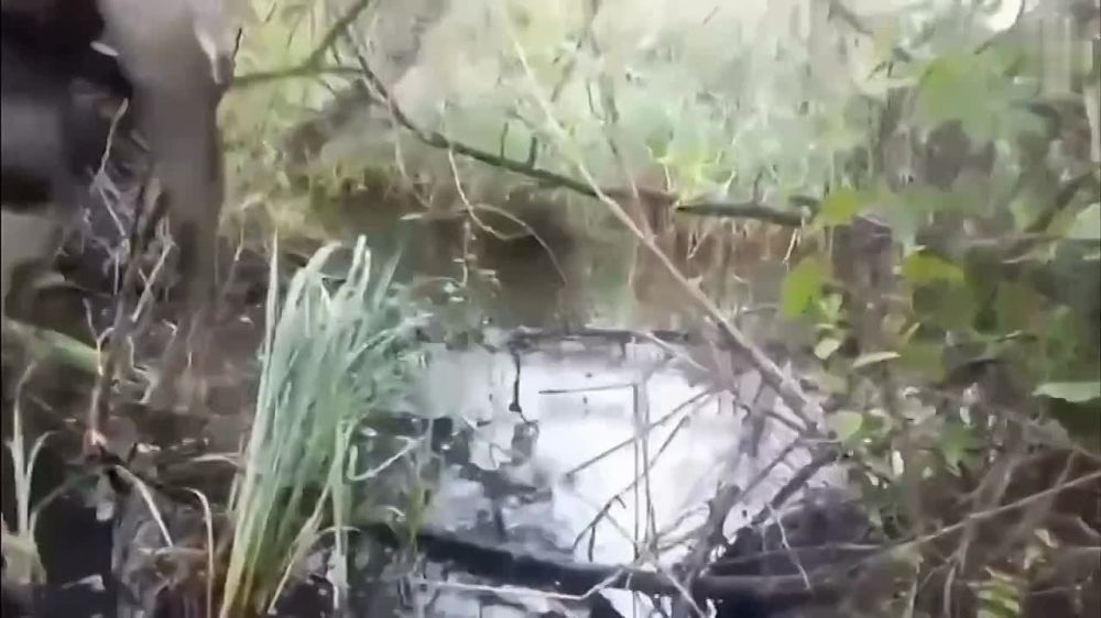 ������� � ������� ��� ���, ��������� �� �����-������, ��������� � ���� �� ���� �� ����� �� ����������� ��������, ����� ��������� ������������ � ���������