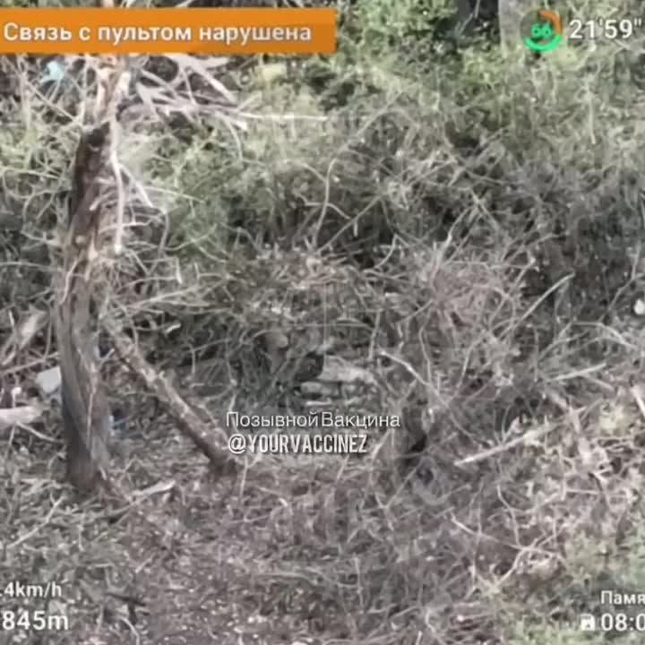 ���������� �������� ������ ������� � �������