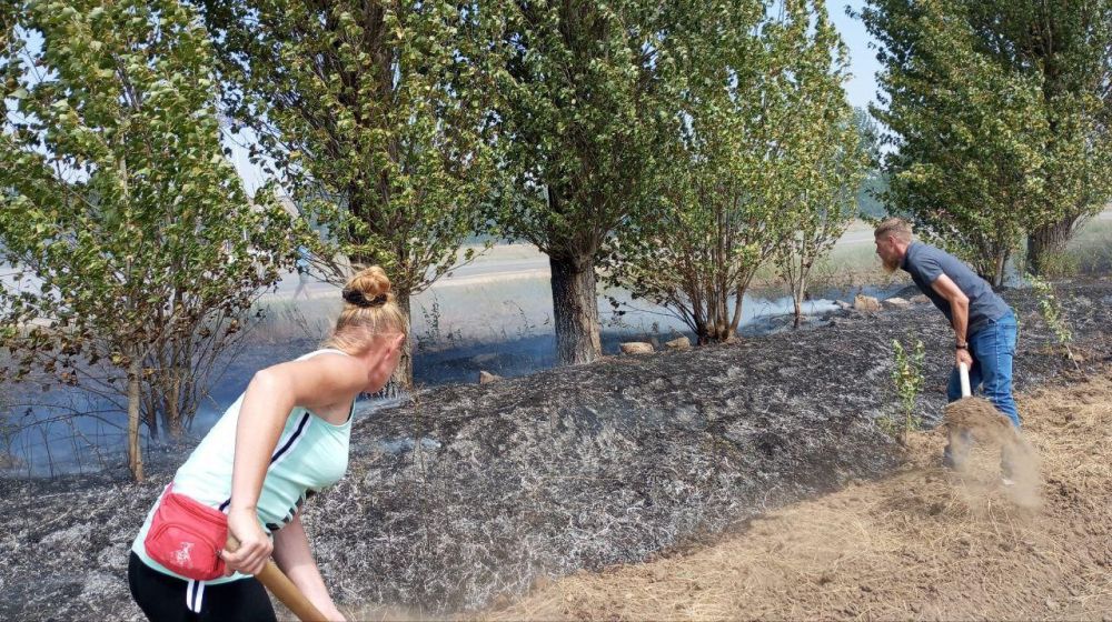 ����������� ������ ������� ����������� ������ ���� �� ������