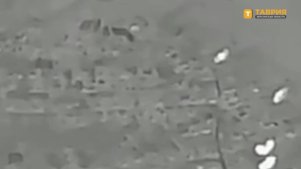 ���������� ������������ ������� ������� ��������� �������� ������ ���������� � ������ �����