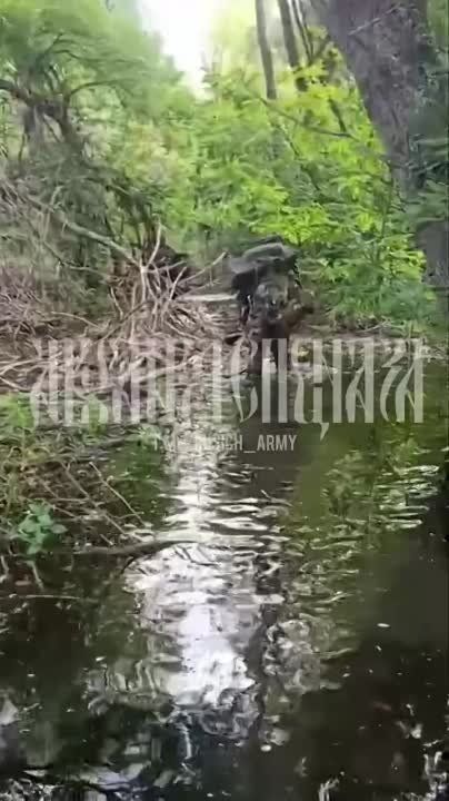 ���������� �����������, ��� �� �� ��������