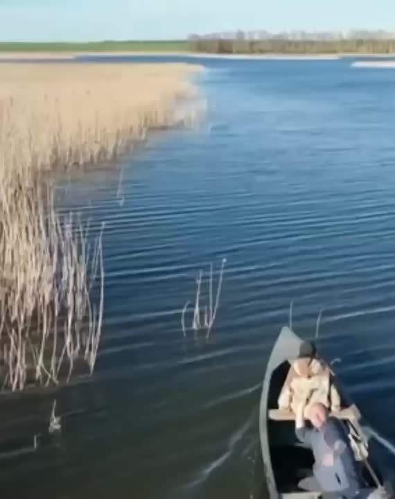 ���������� �����������. ������ � ���������� ������� ������ ���� � ���� ��� ������