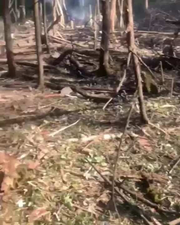 ����� � ����� �������� �������� � ����������� ������ �����������