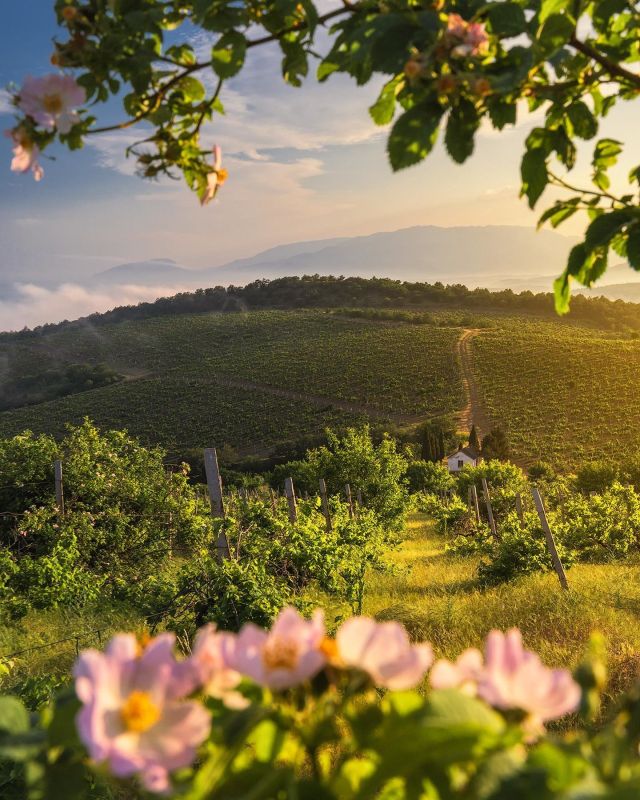 �������� ����������� ����� �� �������� ��-����� ����� �������� � �������