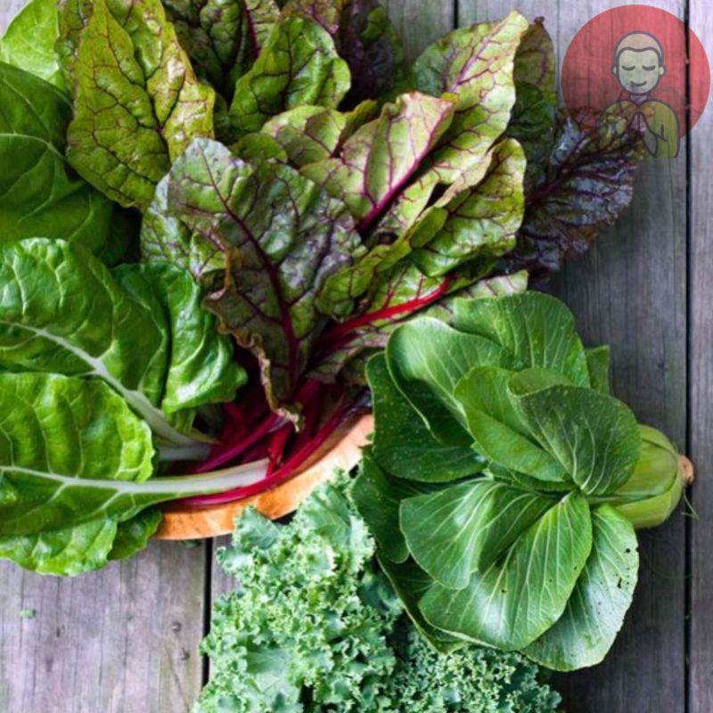 ����� �������� ������. ����� ������ �������� ������ ���������� ������� ���������. ��� ������� �������, ������� �������� �������� ��������� ���������