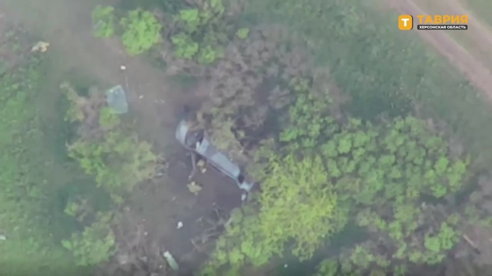 ���������� ���������� ������������� ����������� "������" ���������� ������� ��� ����������