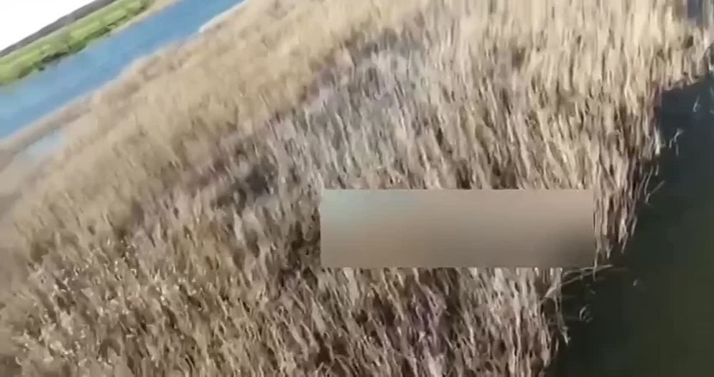 ���� �� �������: � ������ � ������: ������ �������� ������� ���� �����