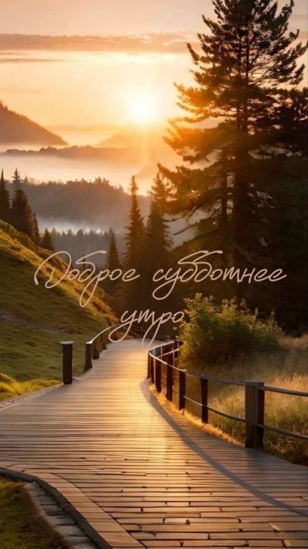 ������ ����. ���������� ��������