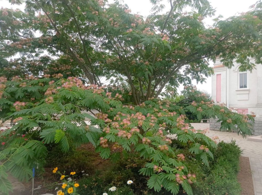 ������������ � ������������� ���������� �� ��� ���������