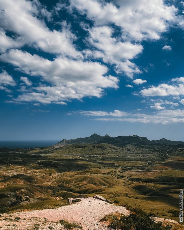 ����������� ������� ����������� � ������� ��������� ������������