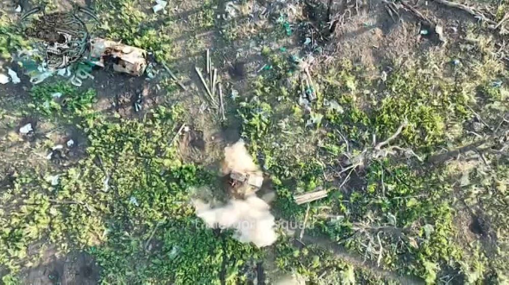 ��������� ���� �������� ������ ���������� �������� ����