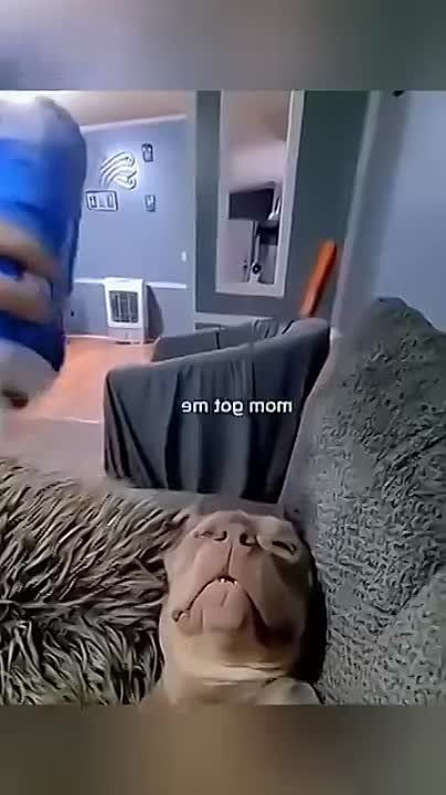 ��������� ����! ��������-����� ���������� �������