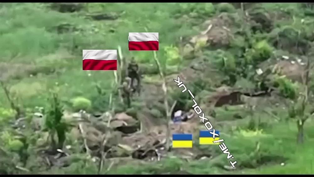 ����������� �� ������� ������������� ���� ������� ������������ ���� �� ������ �����