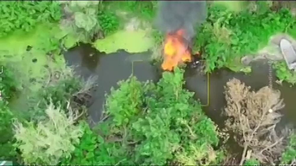 ������� �������: ��������� ��������� ���� ������ ����������� ����� �������� ����� �������