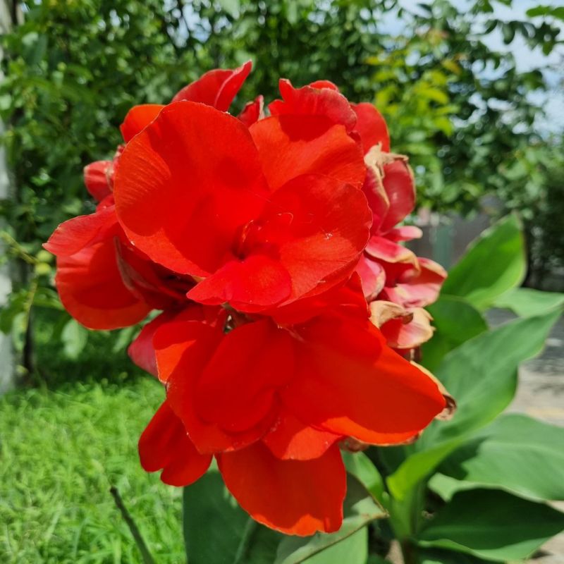 � ���� ������� � �����. ����� ������� ��������� ���� � ����� ������������. � �� ���������. ���� � ������, �� ����� �� ���������� �������. � ��� ����� ���� ��� ������ ����, � � ������