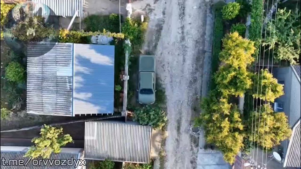 ���������� �����������. ������ �����������, �� ����������� ������������� ������� ���