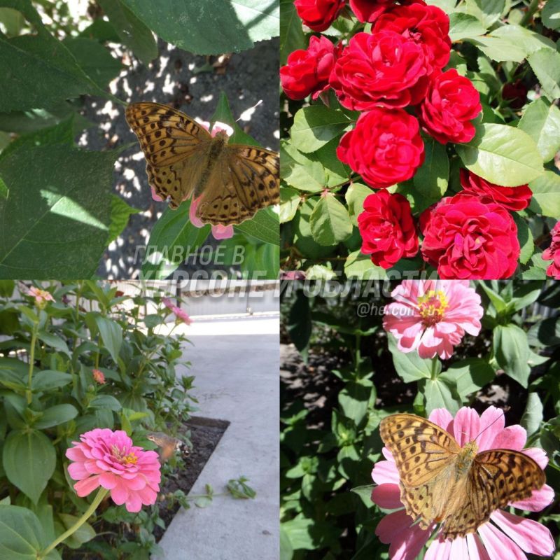 ��������� ����� � ����� � ��������� ��������� � ���� ������� �������� ��� � �������