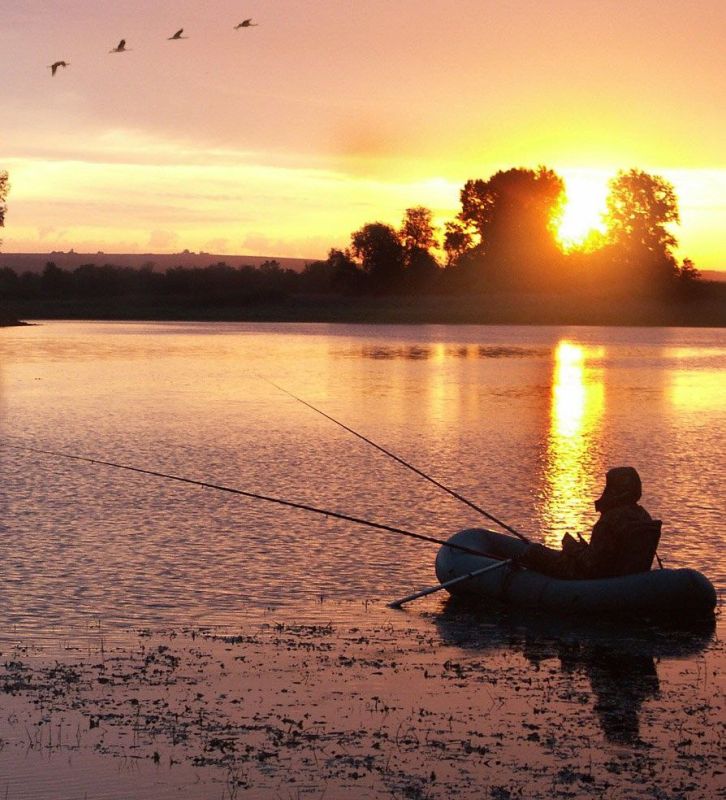 �������� ������: ���������� �������������� ������� �������� � ������� ��������� � ���� ������!