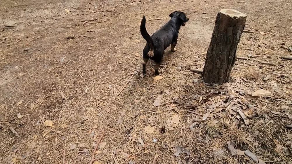 ���� �� �������: �� ���� �������� �� ������ �����, �� � �� ������������ ���������